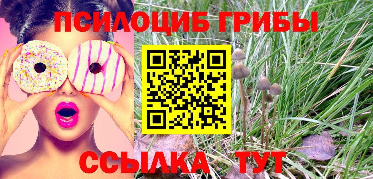 Галлюциногенные грибы Magic Shrooms Каменка