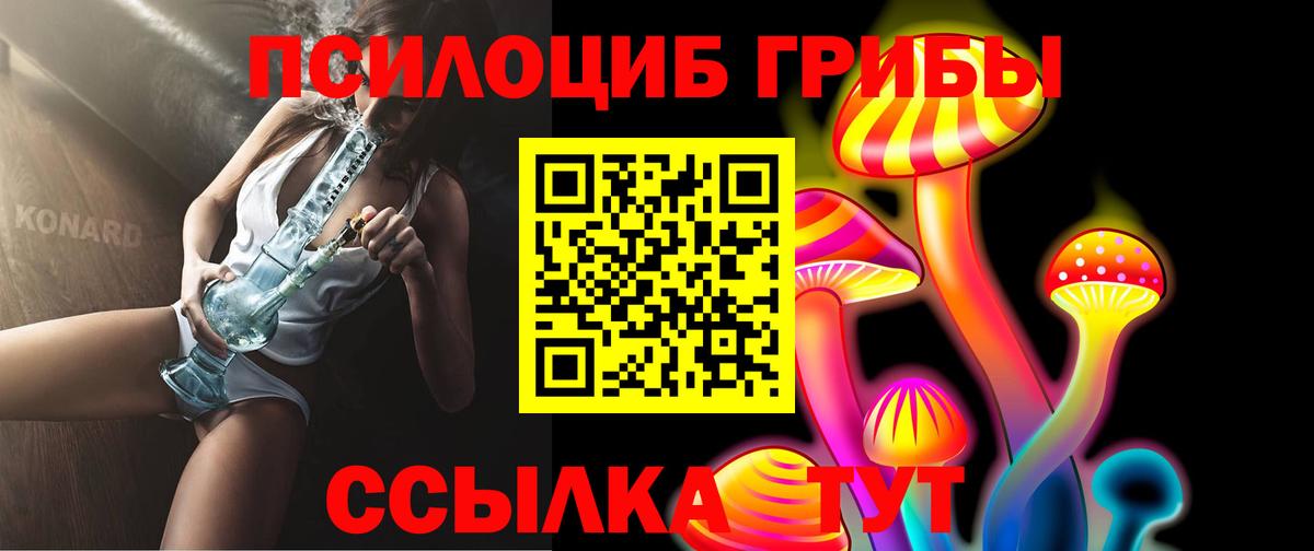 Псилоцибиновые грибы прущие грибы  Вход с VPN  Псилоцибиновые грибы Magic Shrooms  Каменка 